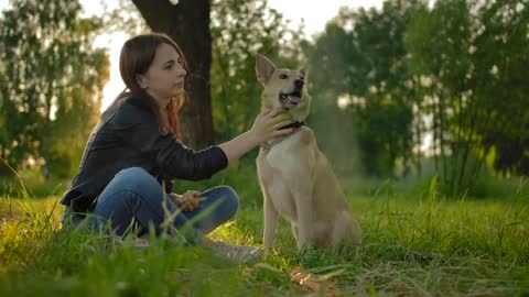 Tender cute relationship between the female mistress and her outbred dog