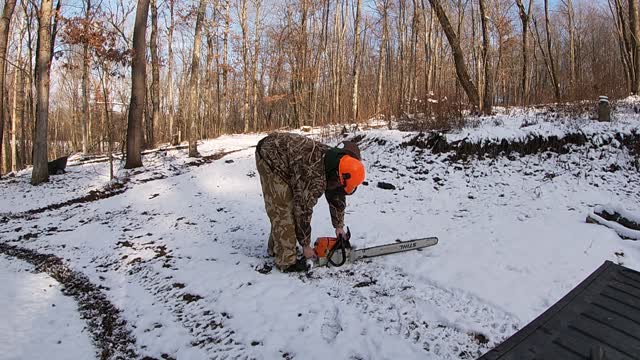 Tree Top Clean Up 1_19_2021 Part 2