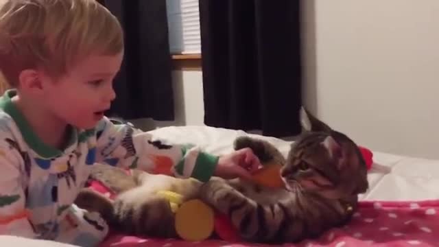 Kids play with cat