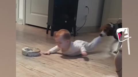 World's Funniest Baby And Pet Dog - Funny Videos Compilation