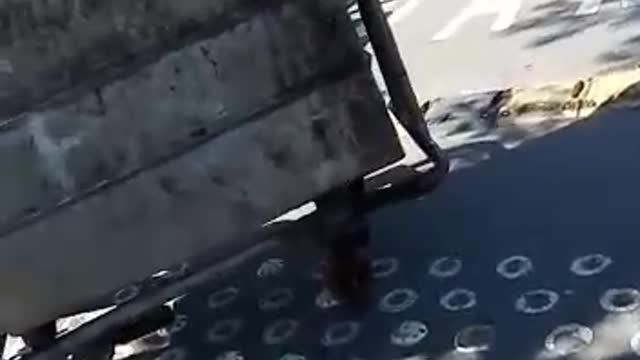 Policías fueron agredidos cuando capturaban a un conductor ilegal en Bucaramanga