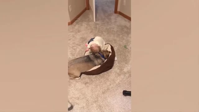 Baby Funny Moments and Fails