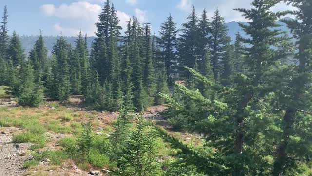 Central Oregon - Three Sisters Wilderness - Obsidian Alpine Serenity