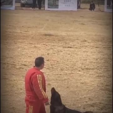 Police dog training