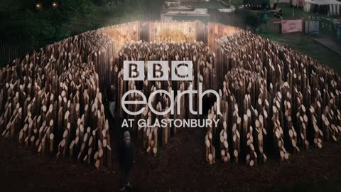 Beam: The Glastonbury Sculpture Inspired By Bees | BBC Earth