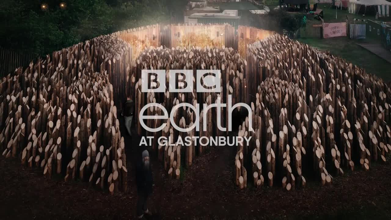 Beam: The Glastonbury Sculpture Inspired By Bees | BBC Earth