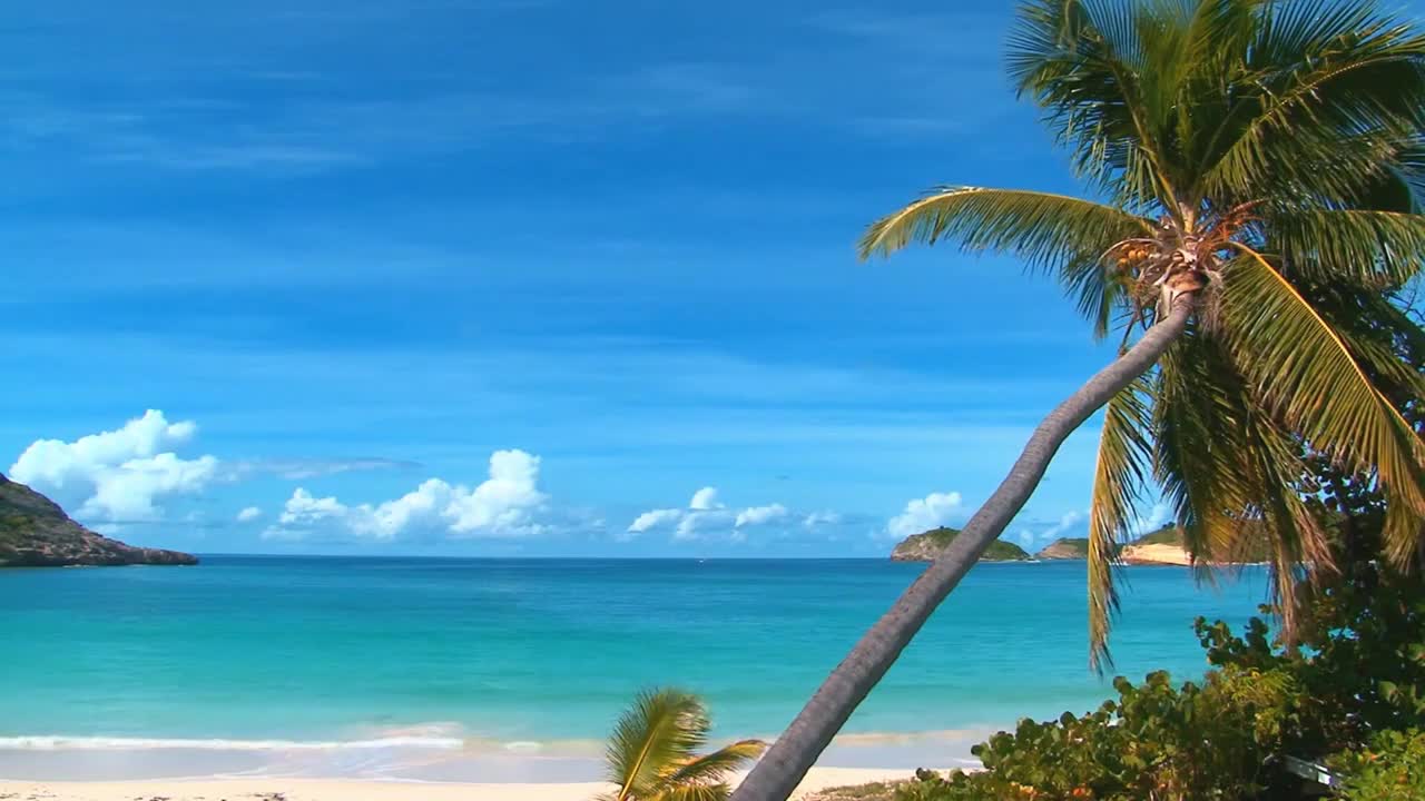 OCEAN VIEW _HIP HOP INSTRUMENTAL BEAT FOR RELAXATION/CHILL