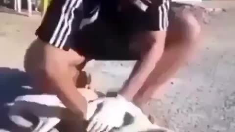 Man save life of Cute Pet