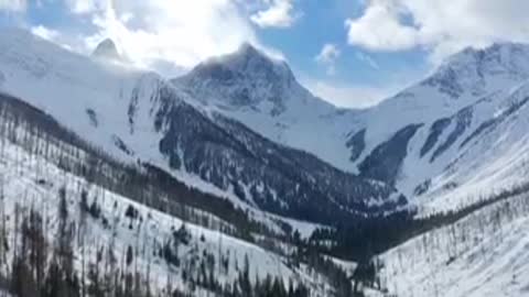 In Search of the Sasquatch