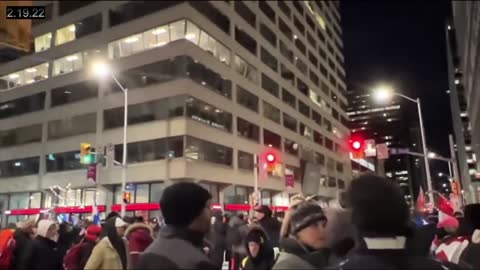 WOMEN HIT WITH PEPPER STRAY IN OTTAWA