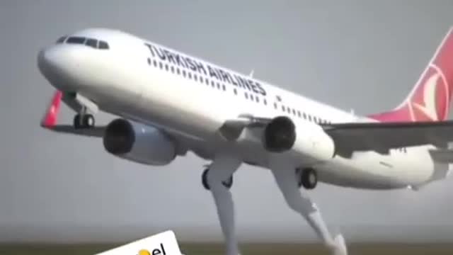 Airplane landing Funny Video 2021