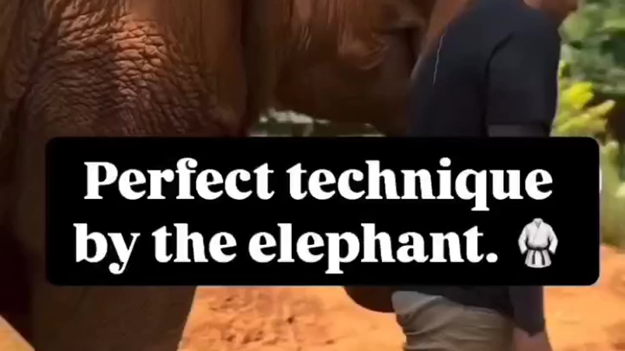 The perfect technique doesn't exist