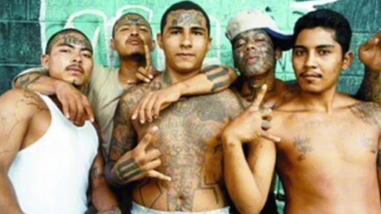 Open borders invasion PART 2