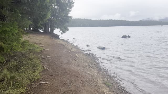 Incredible Shoreline Section of Timothy Lake – Mount Hood – Oregon – 4K