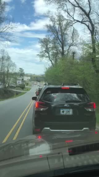 Stupid Traffic
