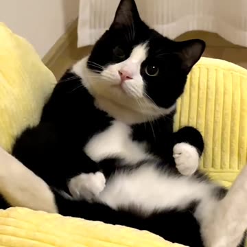 This is my shocked face 😱😱