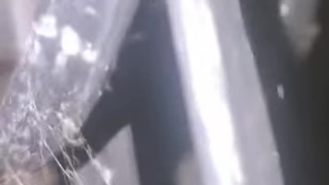 The joke in Russian is super popular on the German Internet. Watch with sound!