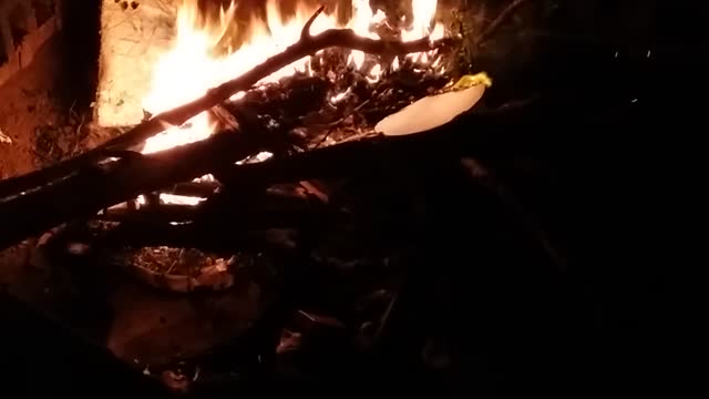 Camp fire yay