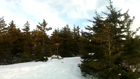 Summit of North Pack [Wapack] UpNorth Trail Gems