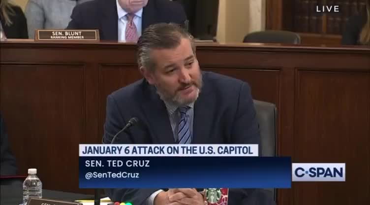 Ted Cruz Goes Full RINO With His Latest Claims About January 6th Protestors