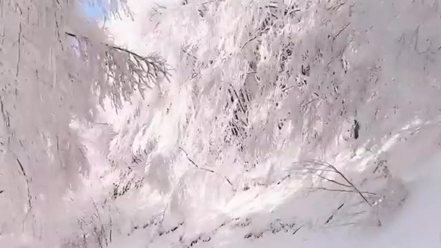 Today is a snowy day