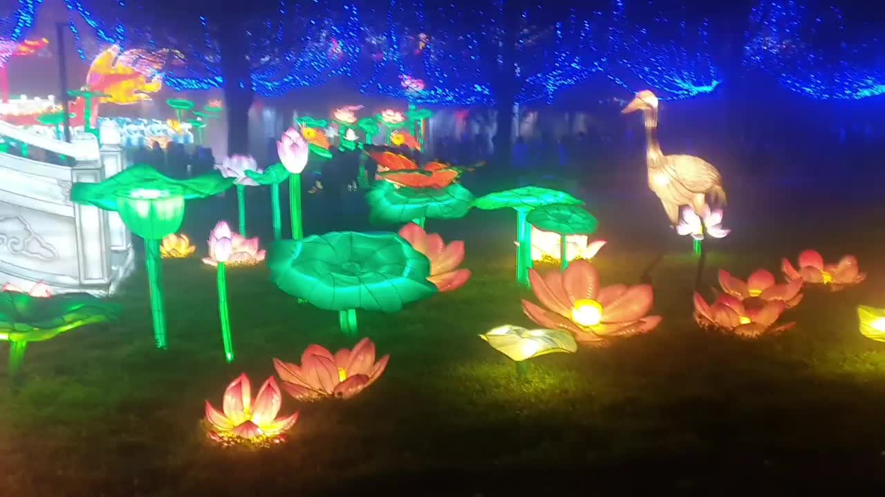 Seoul Lantern Festival Charms Guests