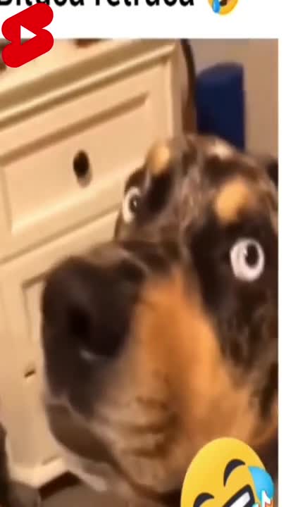 SUPER FUNNY dog talking digital influencer #shorts