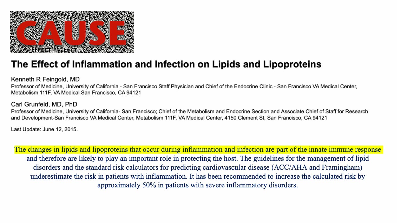 196. Inflammation Friend or Foe - Boston Biolife Presentation by Dr. Lewis