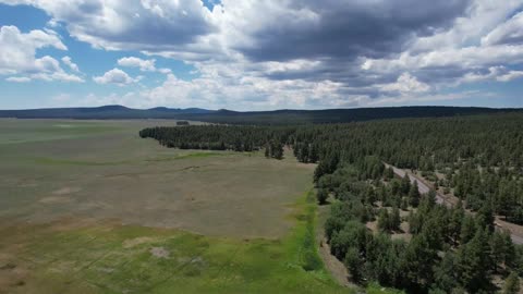 Mormon Lake Run