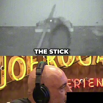 Joe Rogan Reacts To Rat Outsmarting a Mouse Trap