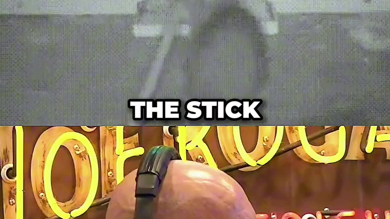 Joe Rogan Reacts To Rat Outsmarting a Mouse Trap
