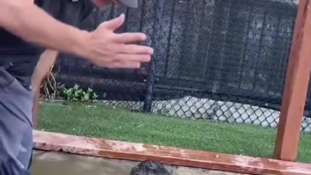 The keeper and the little god beast