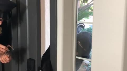 Robber didn’t expect THIS!