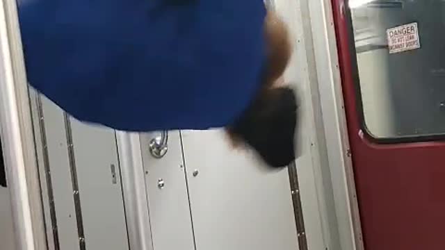 Guy holds onto ceiling handrail on subway, does backflip and falls