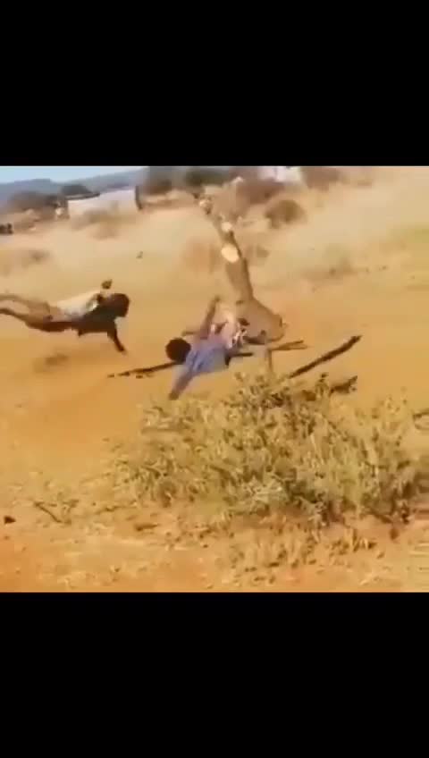 Fun in Africa