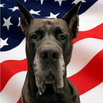 The Mastidane on the Presidential Debates 9-27-23