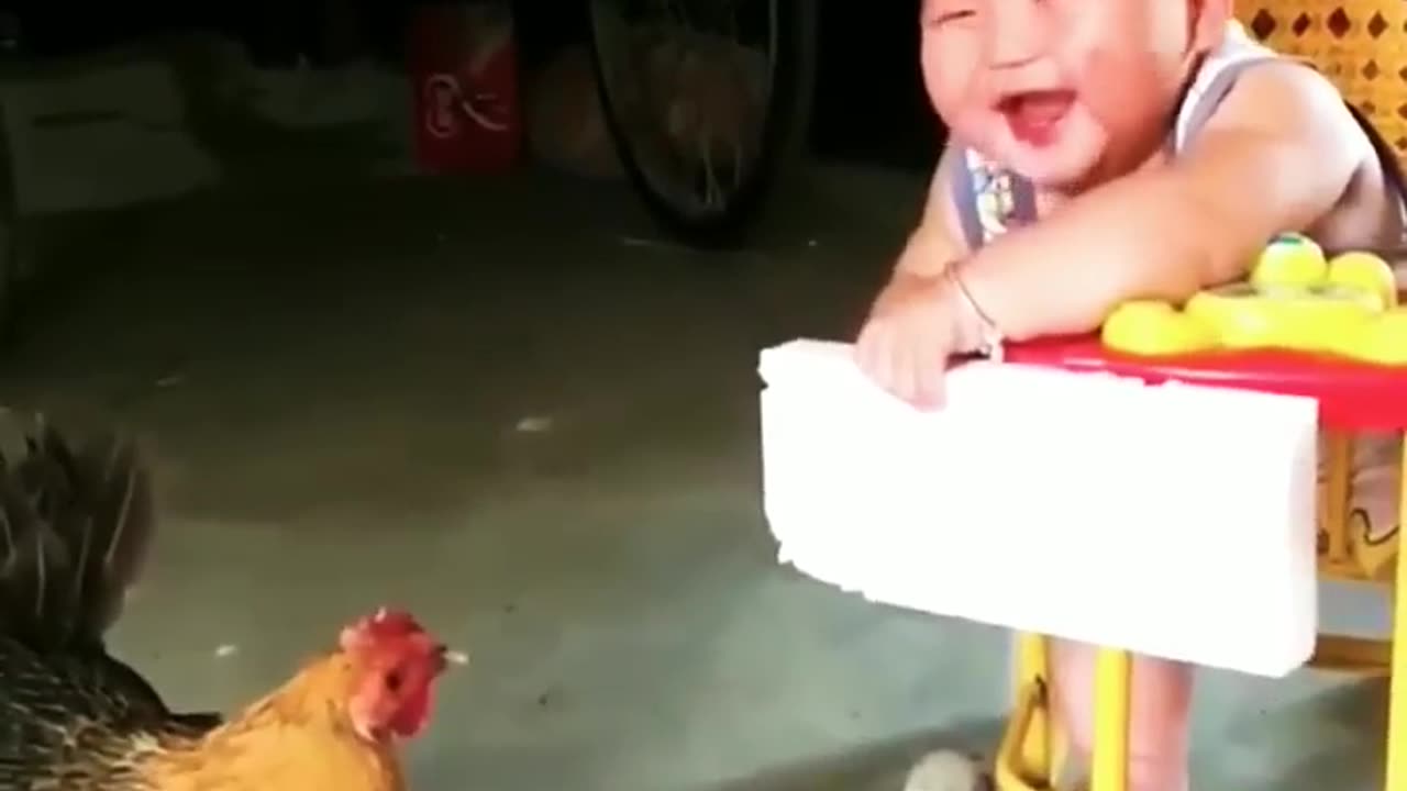 Best Funny Video - 11
