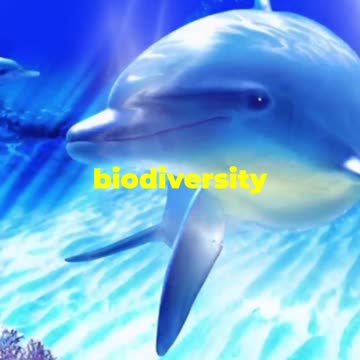 5 facts about Indian ocean