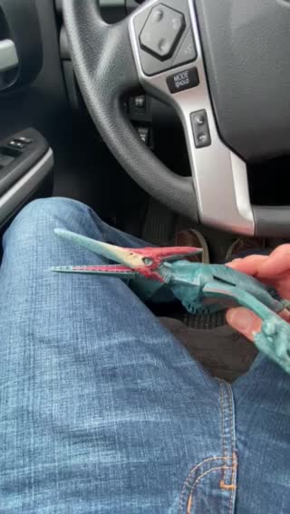 Is that... Pelosi?? 😳