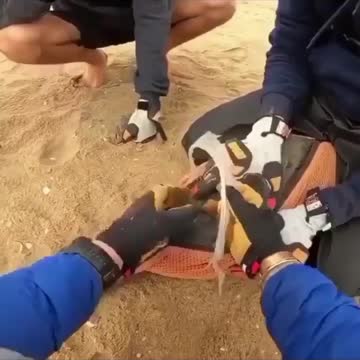 Unknown creature spotted near sea