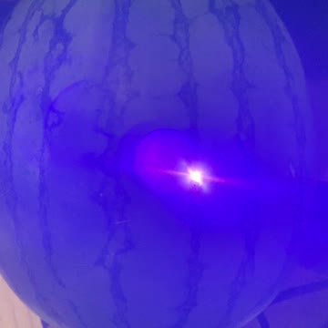 LaserPecker On A Watermelon