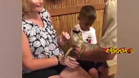 Animales Chistosos Fantasticos Granja Selva Agosto 2020 😛 Videos Graciosos 😆