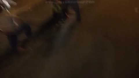 Fight Comp Of The week