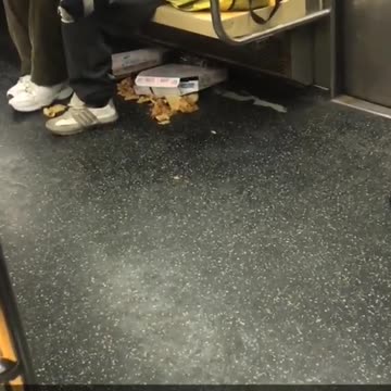 Everything about this is wrong lady combs through shoe on subway