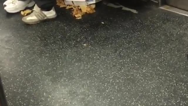 Everything about this is wrong lady combs through shoe on subway