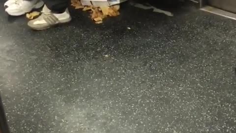 Everything about this is wrong lady combs through shoe on subway