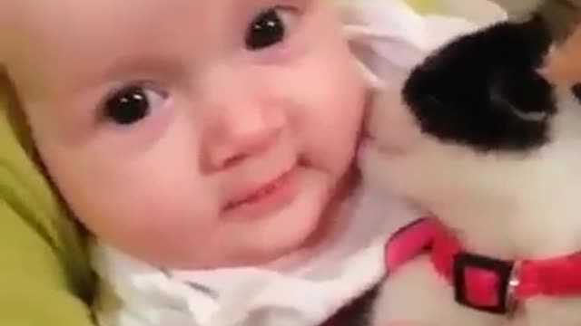 Cats childrens 😸😸😸🙀🙀🙀🙀👶👶👶👶