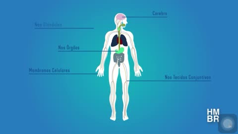 cannabis and cdb for our health medical marijuana