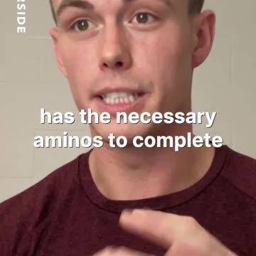 What are carbohydrates