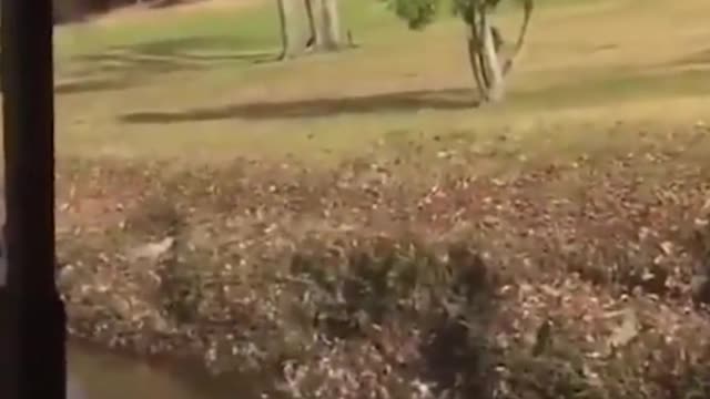 Man tries to jump ditch. Falls back into water